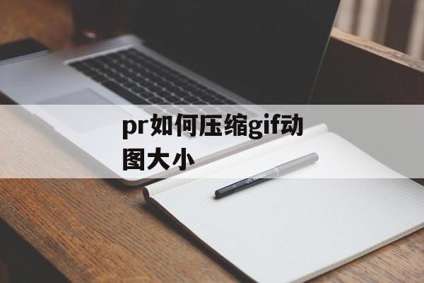 pr如何压缩gif动图大小